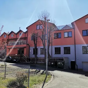 Bambus Zahrada Praha